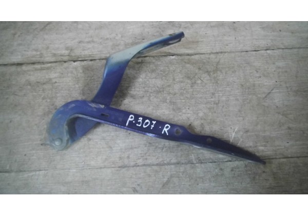 Петля капота права Peugeot 307 SW, 05-08, 9680749080
